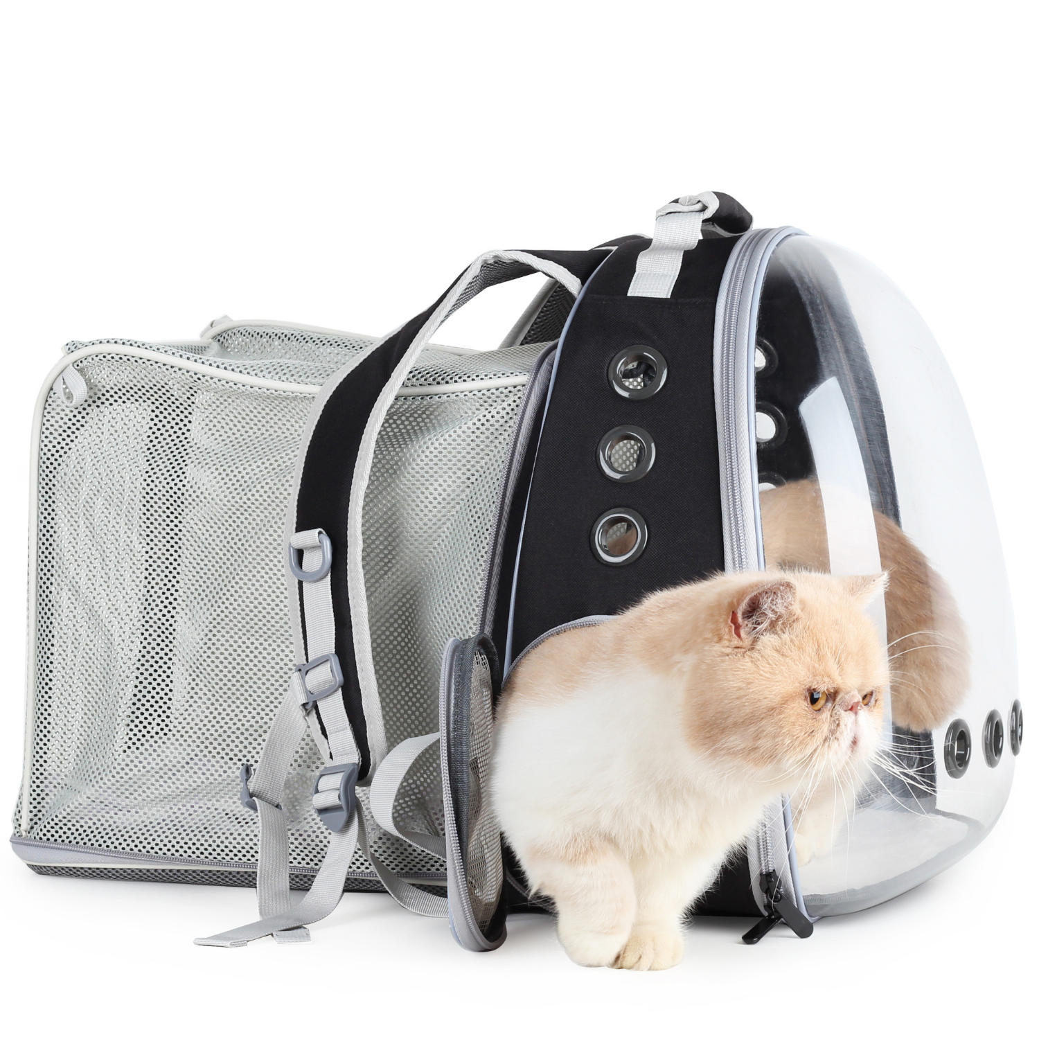 backpack for cat travel Cat Bubble Backpack with Clear Window, Expandable Pet Travel Carrier for Cats and Dogs (Square Back Expandable-Three Colors)