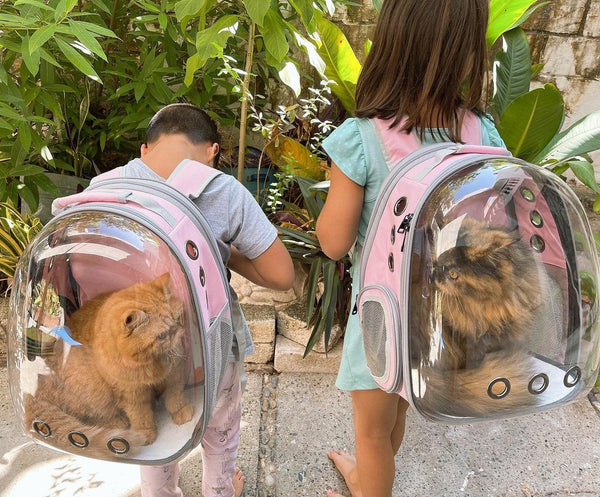 Cat Bubble Backpack with Clear Window for HIiking Front Expandable T lollimeow