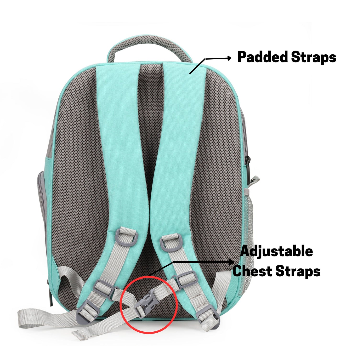 Pet Carrier Backpack, Square Window, Designed for Travel, Hiking, Walking & Outdoor Use(Two Colors) - lollimeow