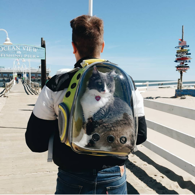 Pet Geometric Roller-Carrier Backpack Trolley – lollimeow