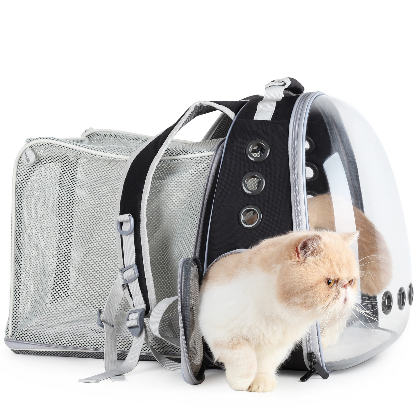 Cat Bubble Backpack with Clear Window, Expandable Pet Travel Carrier for Cats and Dogs (Square Back Expandable-Three Colors)