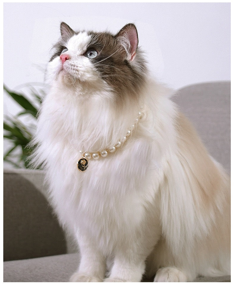 Pet Artificial Pearl Necklace for Cat and Dog