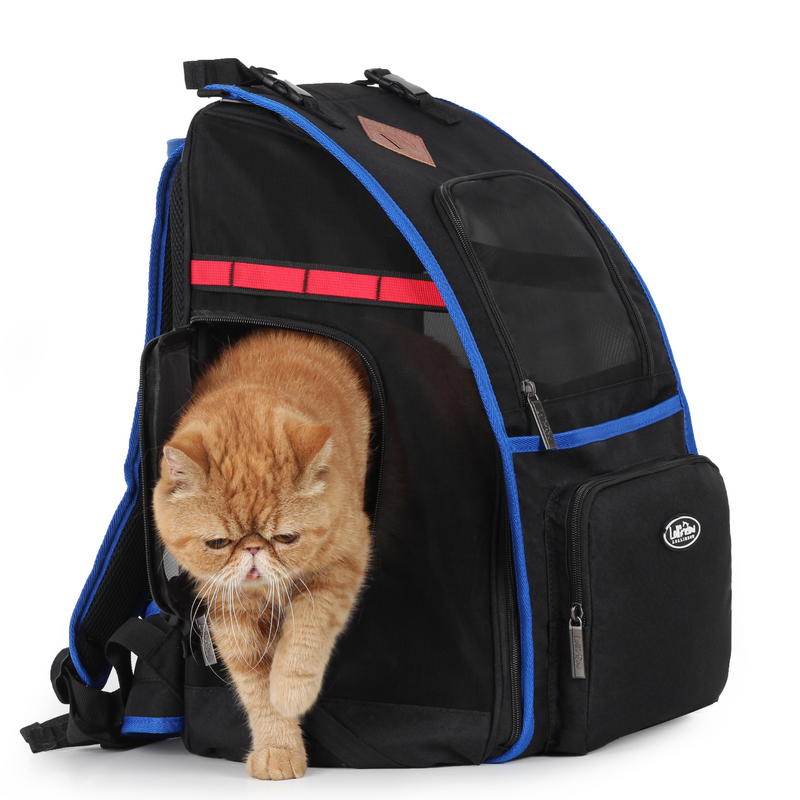 Lollimeow Pet Backpack Carrier for Cats and Puppies - Ventilated Outdo –  lollimeow