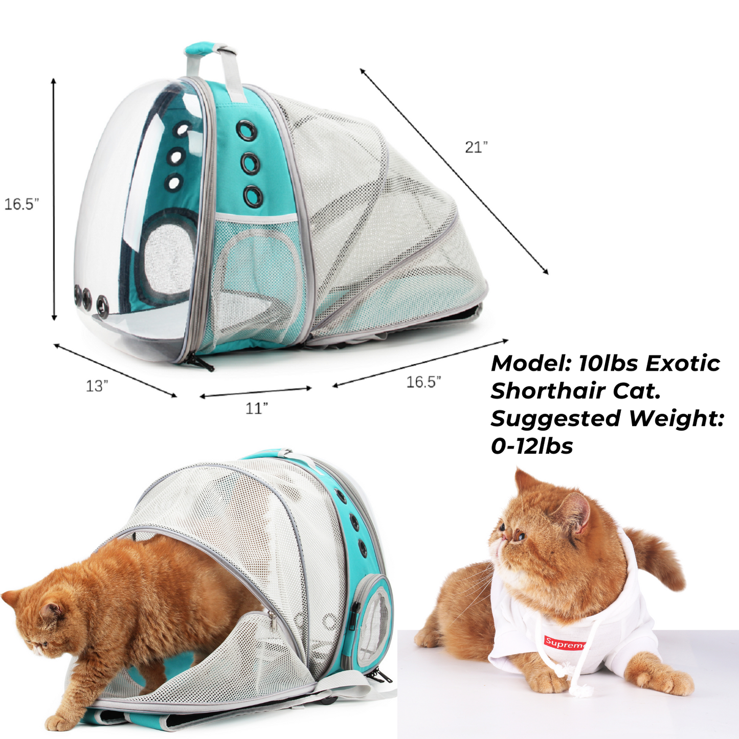 Cat Bubble Backpack with Clear Window, Expandable Pet Travel Carrier for Cats and Dogs(Back Expandable-Three Colors)