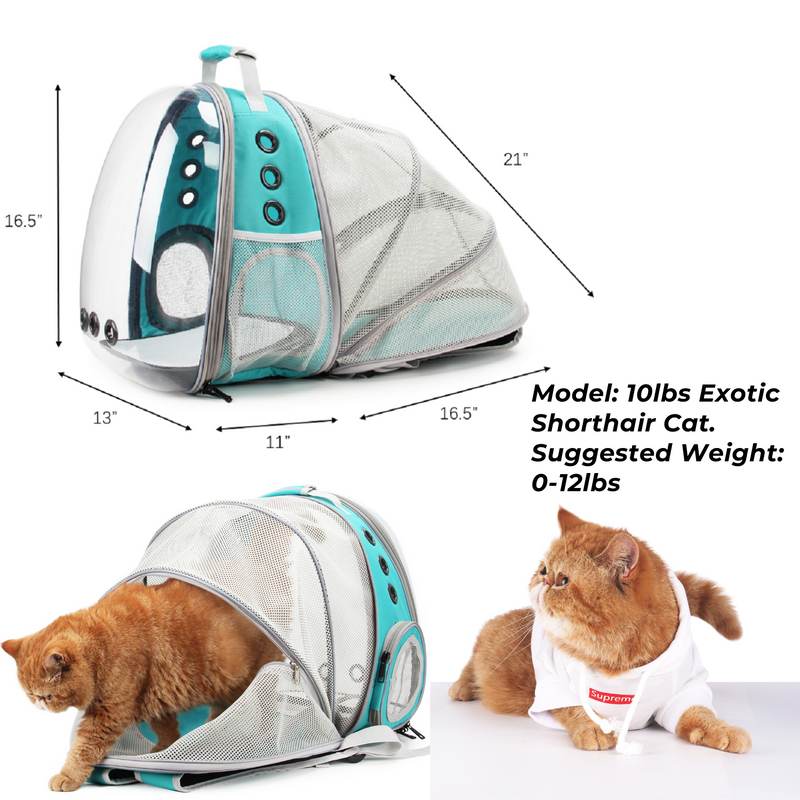 Cat Bubble Backpack with Clear Window for Hiking-【Back Expandable】(Three Colors)