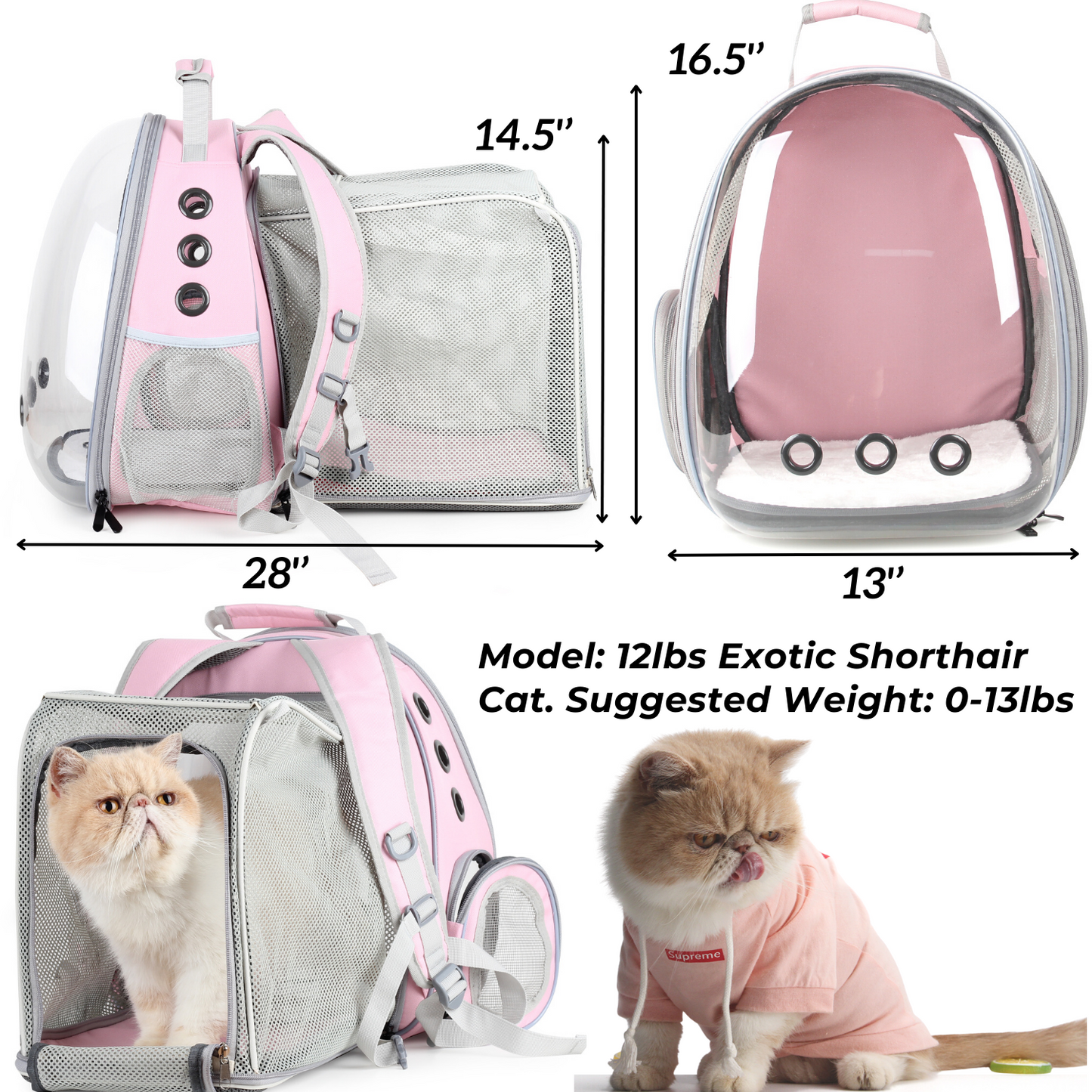 Cat Bubble Backpack with Clear Window, Expandable Pet Travel Carrier f – lollimeow
