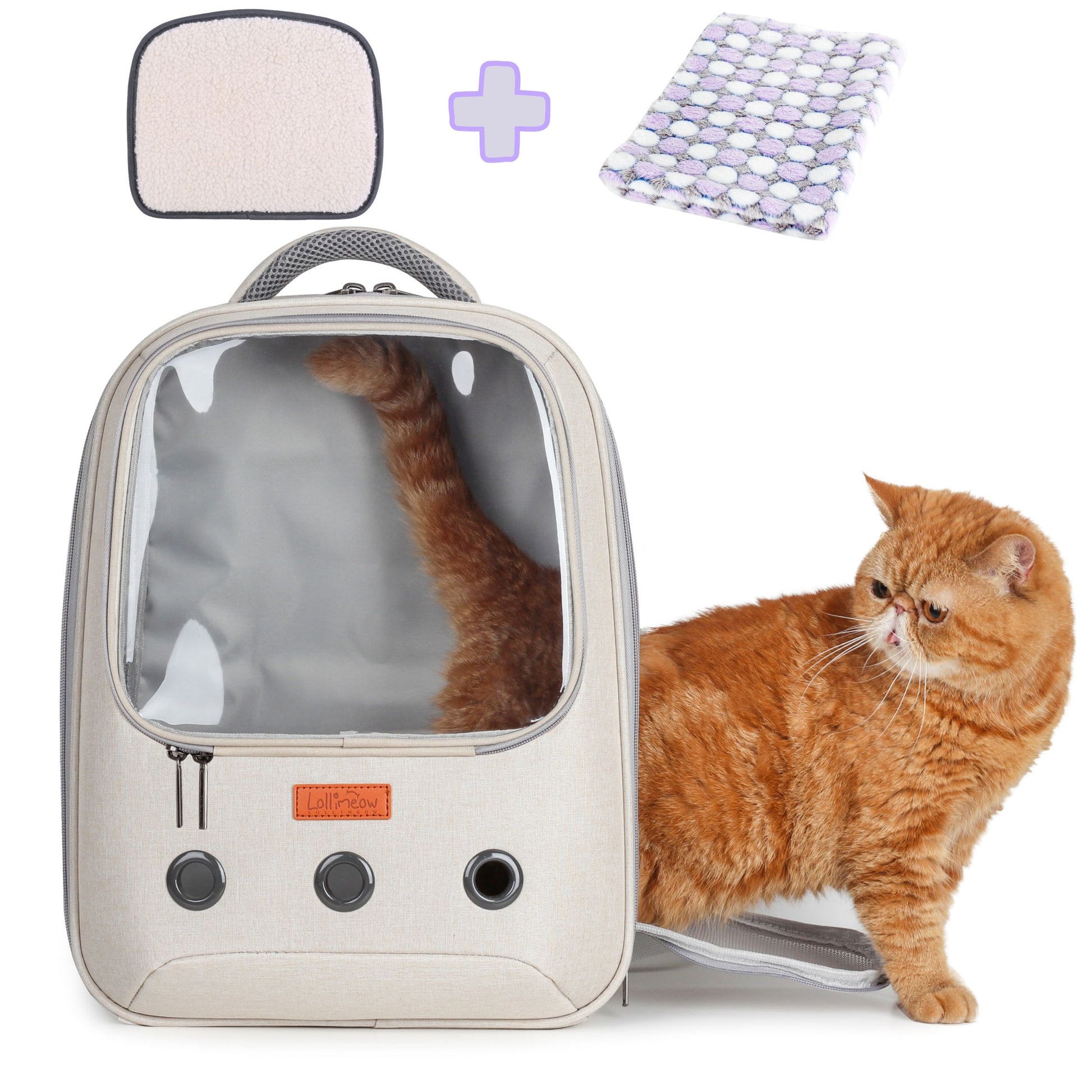 Pet Carrier Backpack, Square Window, Designed for Travel, Hiking, Walking & Outdoor Use(Two Colors) - lollimeow