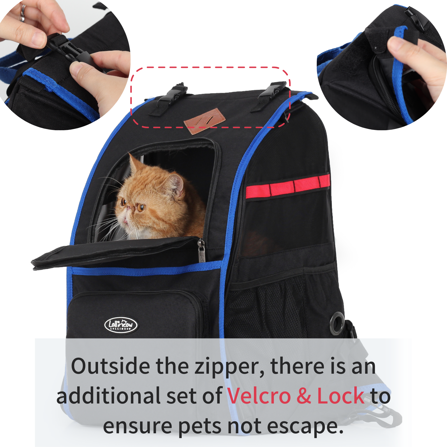 backpack for cat travel Pet Backpack Carrier for Cats and Puppies