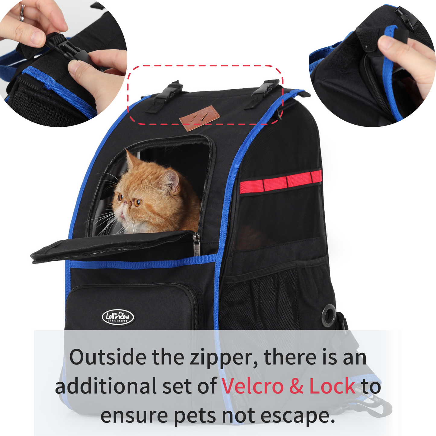 Pet Backpack Carrier for Cats and Puppies - Ventilated Outdoor Canvas Cat Backpack with Large Space, Airline Approved