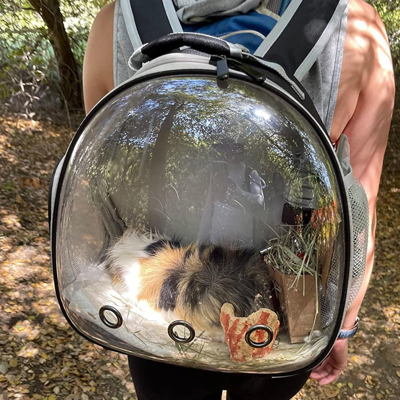 Small Animal Travel Backpack for Guinea Pig, Bearded Dragon,Hedgehog Rat Parrot,Rabbit,Sugar Glider,Airline Approved