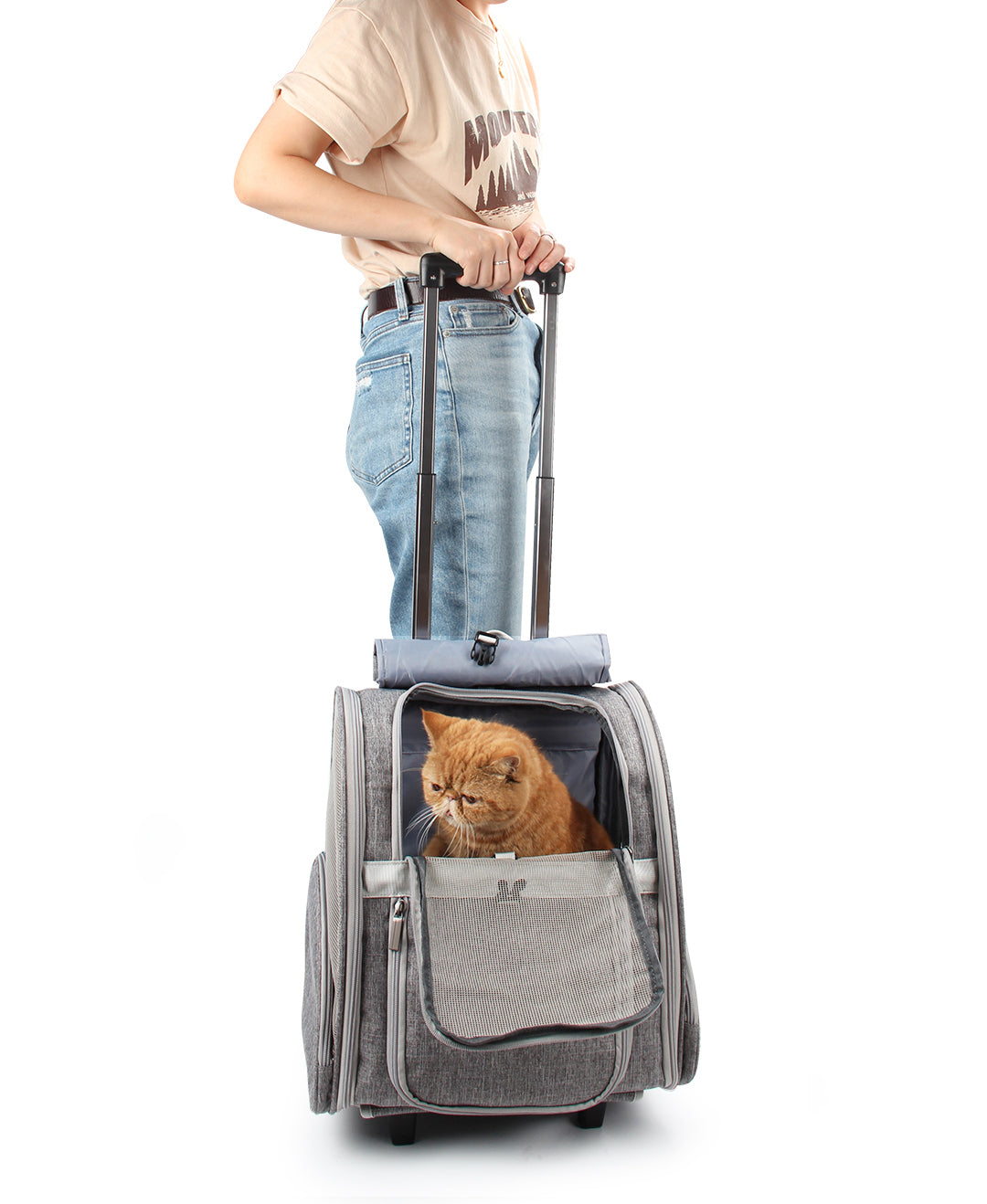 Pet Geometric Roller-Carrier Backpack Trolley