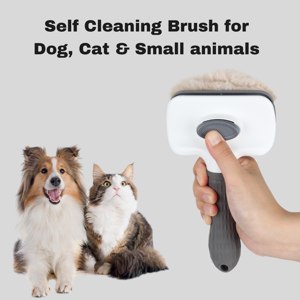 Pet Self Cleaning Slicker Brush for Dogs & Cats