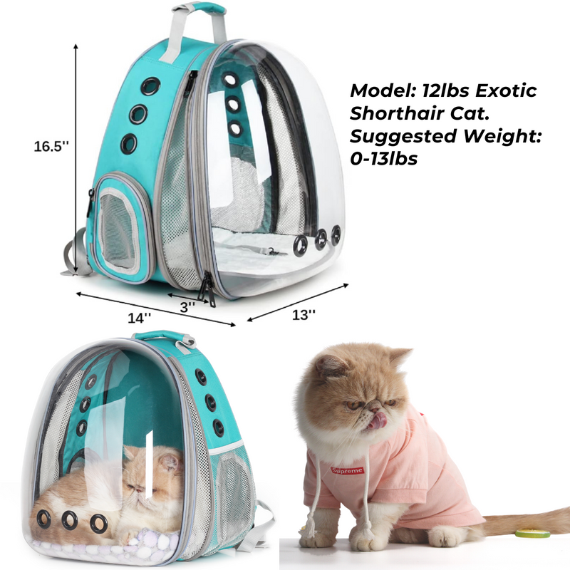 Cat Bubble Backpack with Clear Window for HIiking Front Expandable T lollimeow