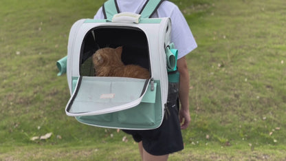 Pet Mesh Window Backpack, Ventilation Design