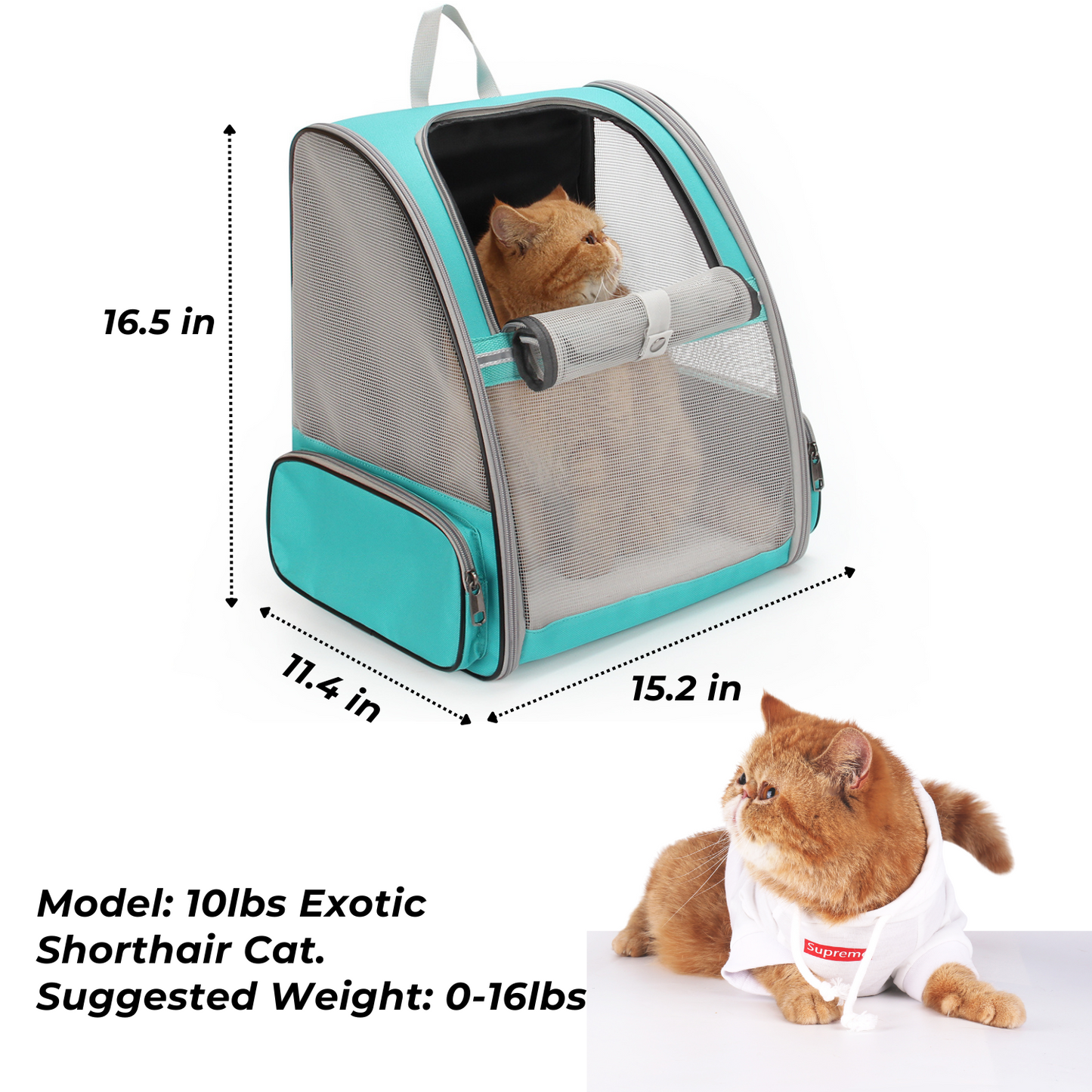 Pet Carrier Fully Ventilated Style Backpack for Cat & Dog(Three Colors)