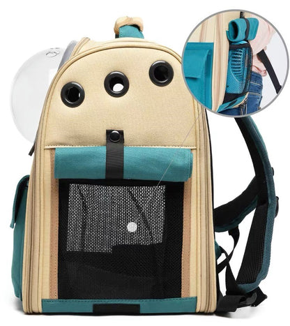 Cat Bubble Backpack, Durable Material, New Design