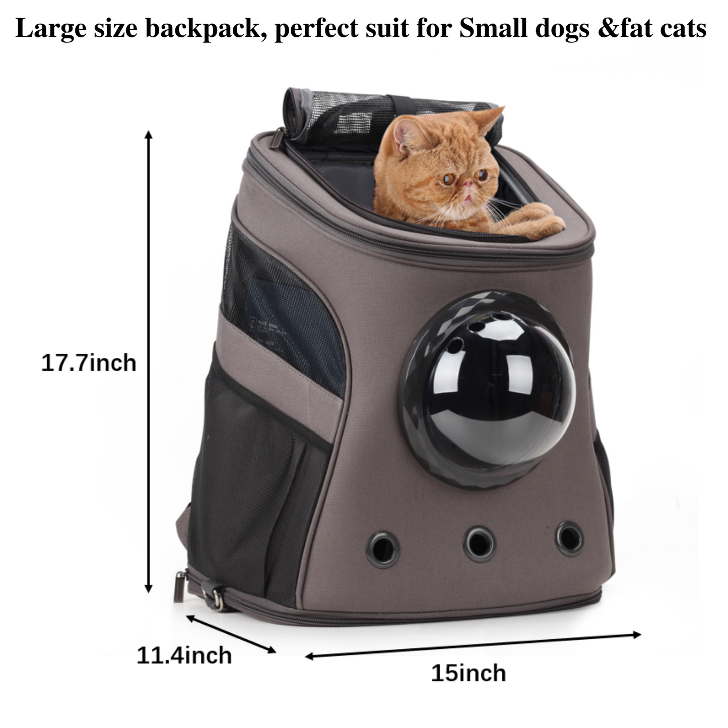 Pet Canvas Bubble and Breathable Capsule Portable Backpack-Large(Two Colors)