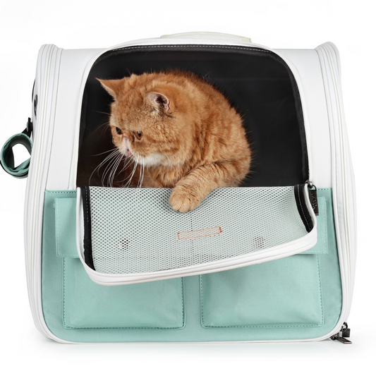 Pet Mesh Window Backpack, Ventilation Design