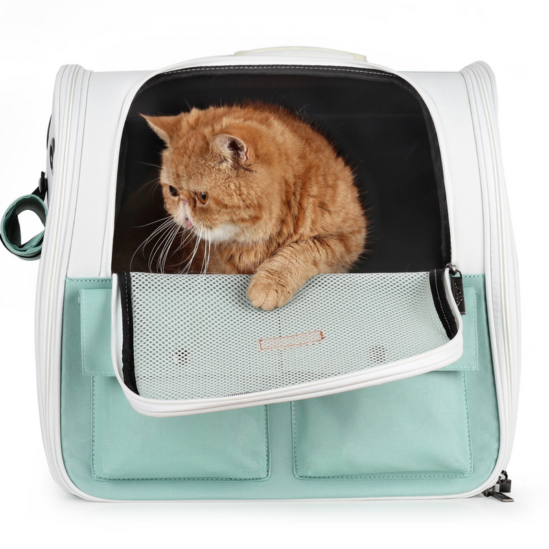 Cat carrier best sale backpack with window