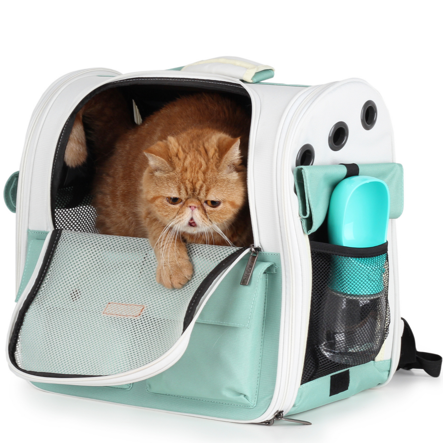 Pet Mesh Window Backpack, Ventilation Design