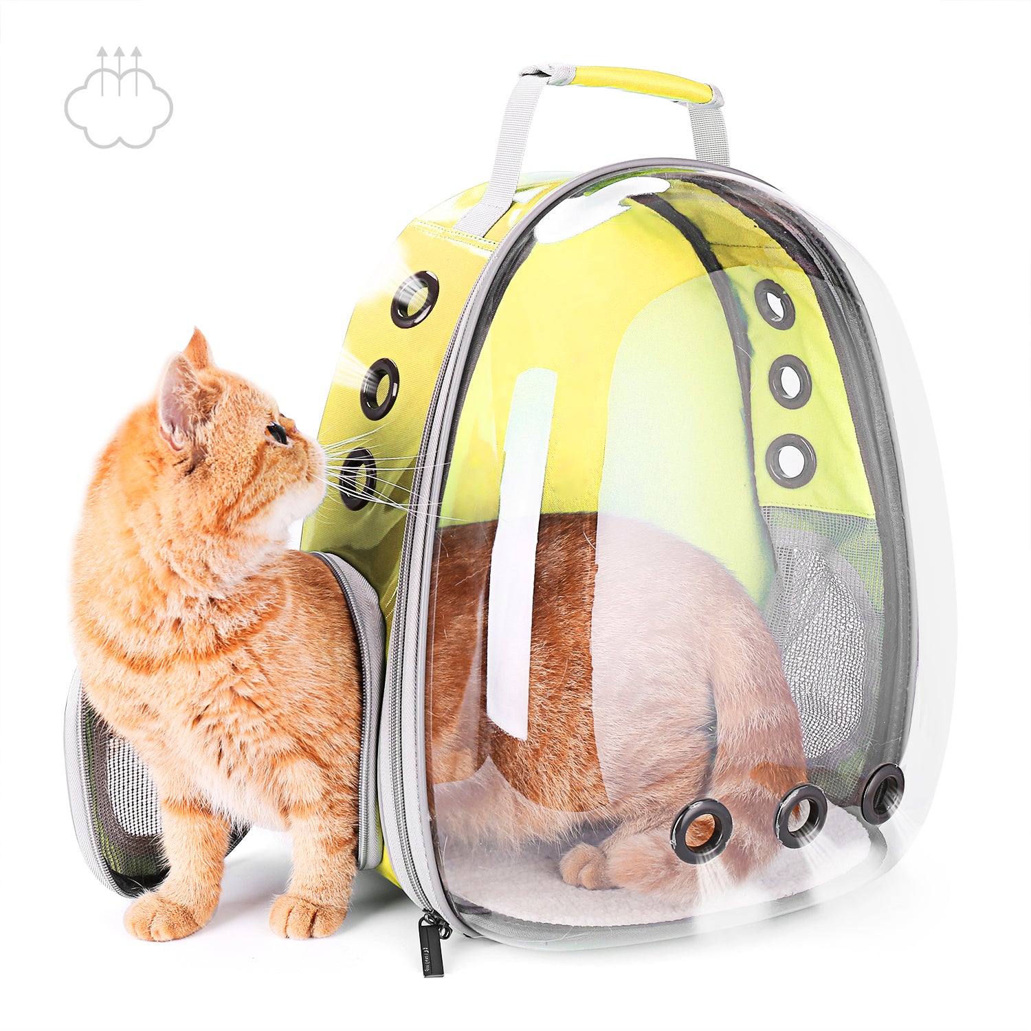 Cat Bubble Backpack with Clear Window, Space Capsule Transparent ...