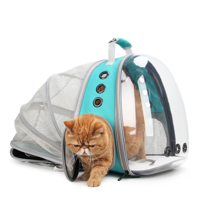 Cat Bubble Backpack with Clear Window for Hiking-【Back Expandable】