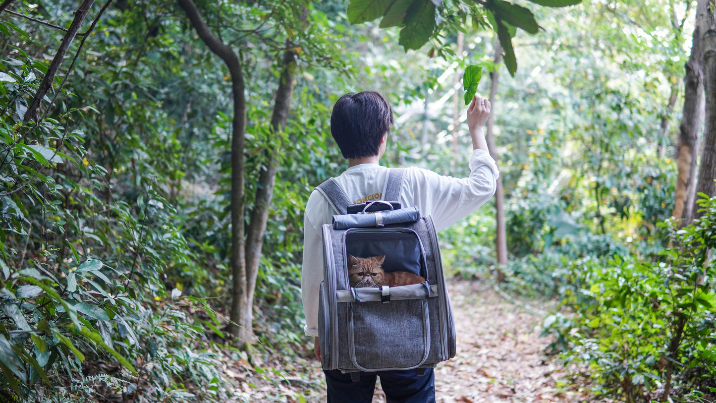 Pet Geometric Roller-Carrier Backpack Trolley