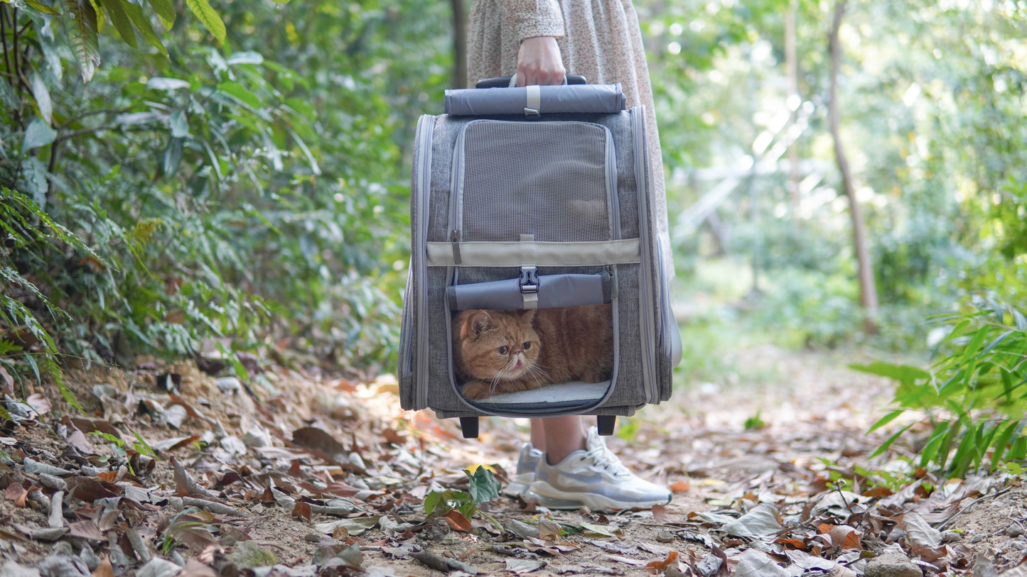 Pet Geometric Roller-Carrier Backpack Trolley