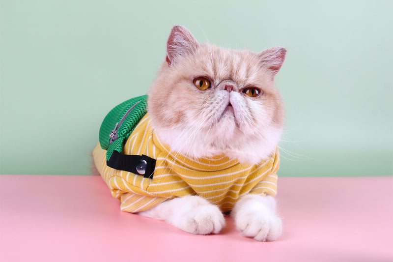 Pet Striped Vest Shirt with Cute Bag for Cats and Puppy