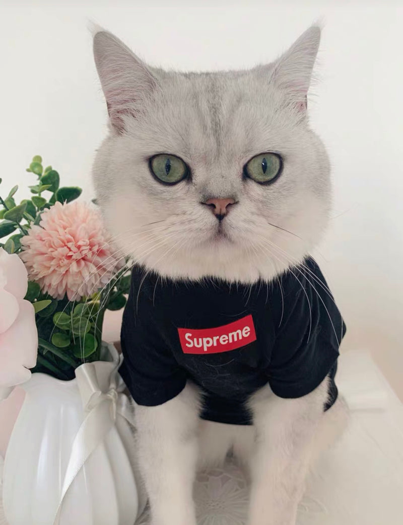 Pet Fashion Shirt, Cat Cotton Vest/Hoodie(Hosico Same Style