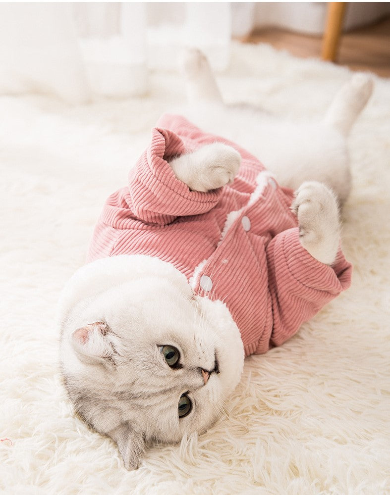Pet Cat Turtleneck Clothes Winter Outfits Sweaters