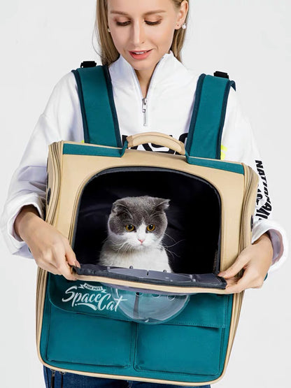 Cat Bubble Backpack, Durable Material, New Design