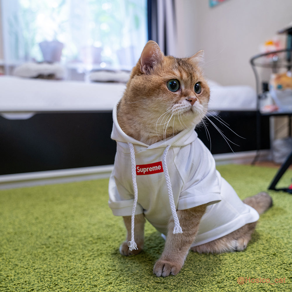 Pet Fashion Shirt, Cat Cotton Vest/Hoodie(Hosico Same Style) - lollimeow