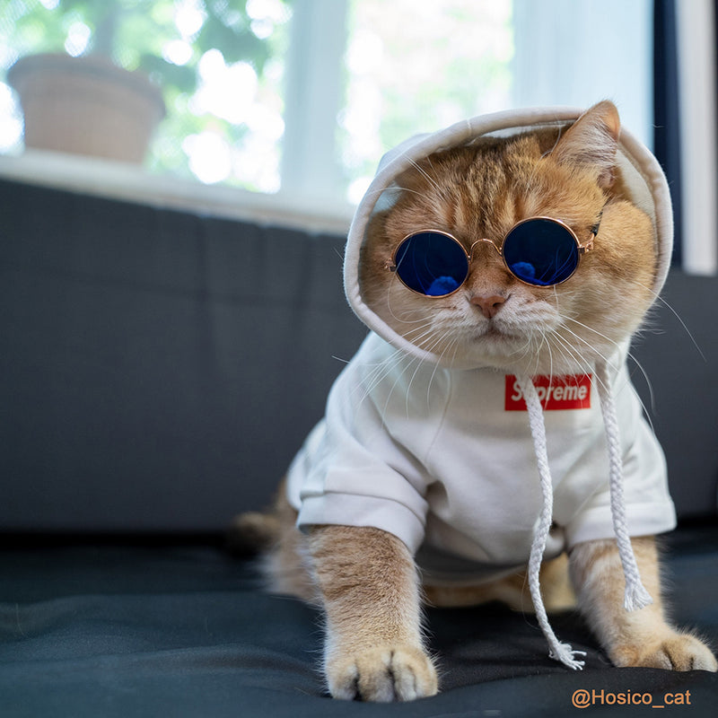 Pet Fashion Shirt, Cat Cotton Vest/Hoodie(Hosico Same Style)