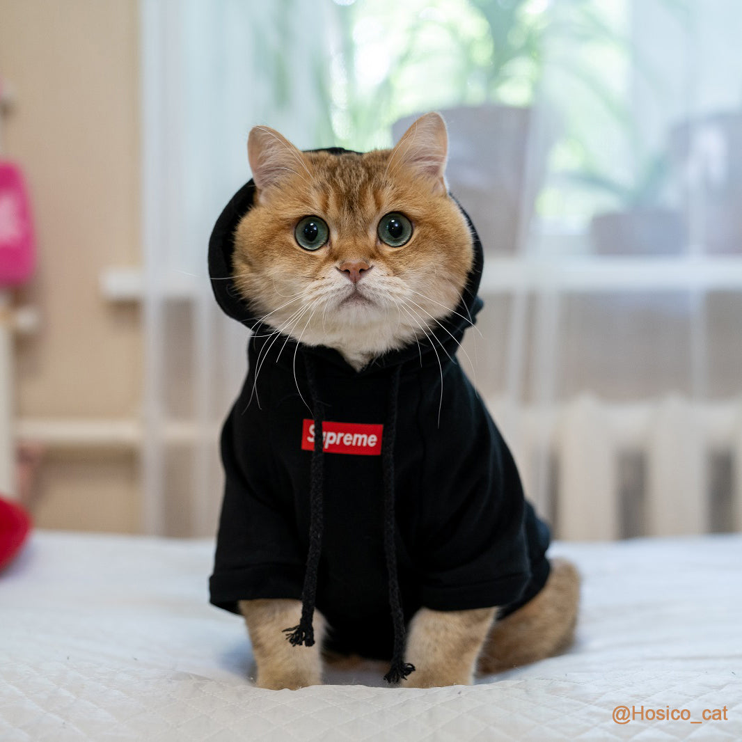 Pet Fashion Shirt, Cat Cotton Vest/Hoodie(Hosico Same Style)