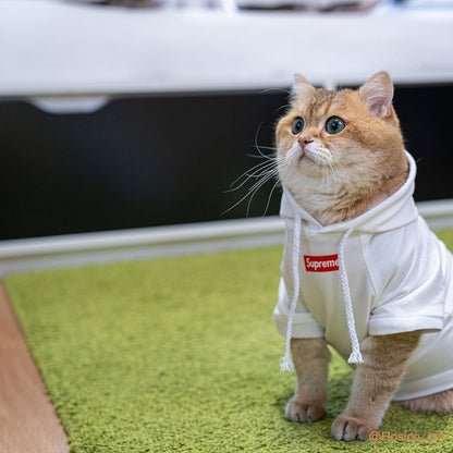 Pet Fashion Shirt, Cat Cotton Vest/Hoodie(Hosico Same Style)