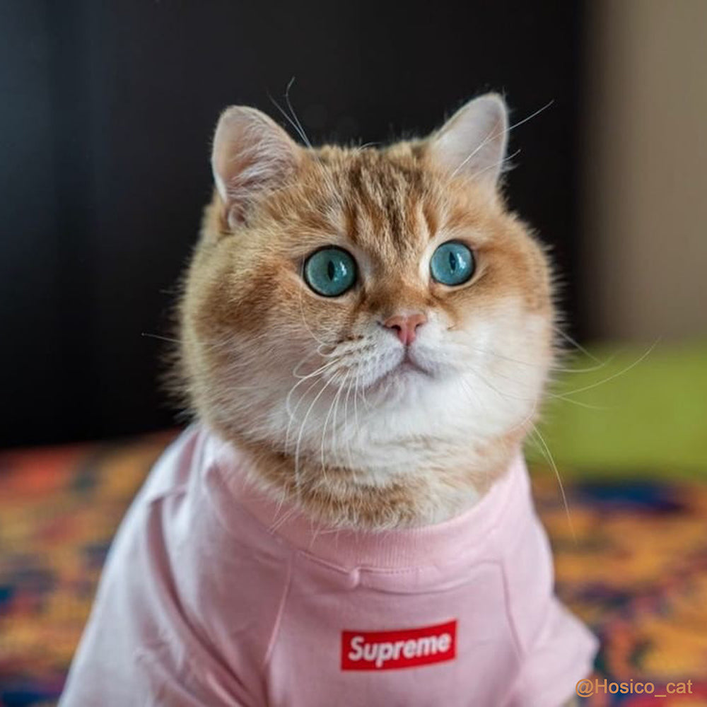 Pet Fashion Shirt, Cat Cotton Vest/Hoodie(Hosico Same Style)