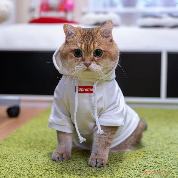 Pet Fashion Shirt, Cat Cotton Vest/Hoodie(Hosico Same Style)