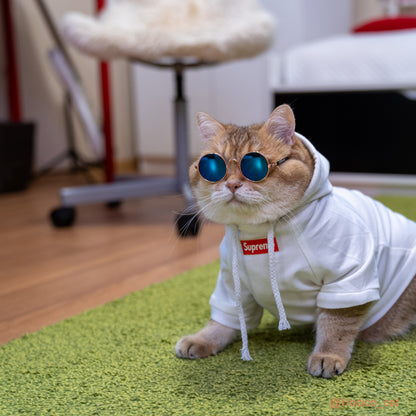 Pet Fashion Shirt, Cat Cotton Vest/Hoodie(Hosico Same Style)